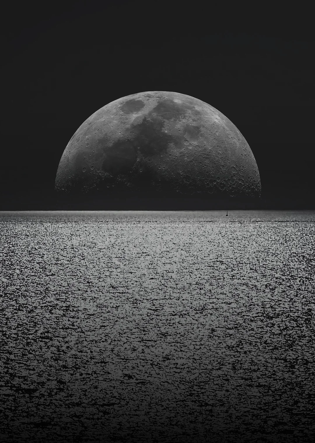 Under the Moon